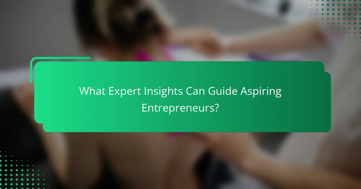 What Expert Insights Can Guide Aspiring Entrepreneurs?